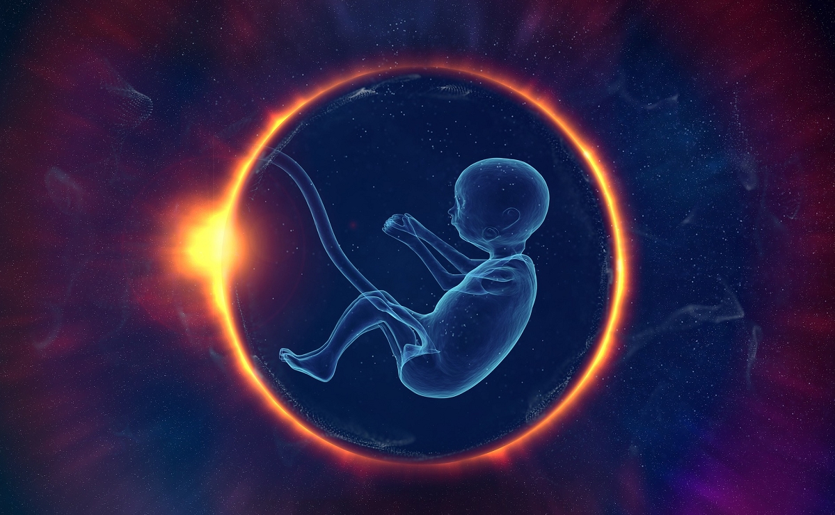 前世記憶を持つ7人の子供の事例を米大学精神科医が発表! 前世や輪廻は実在するのか?の画像3