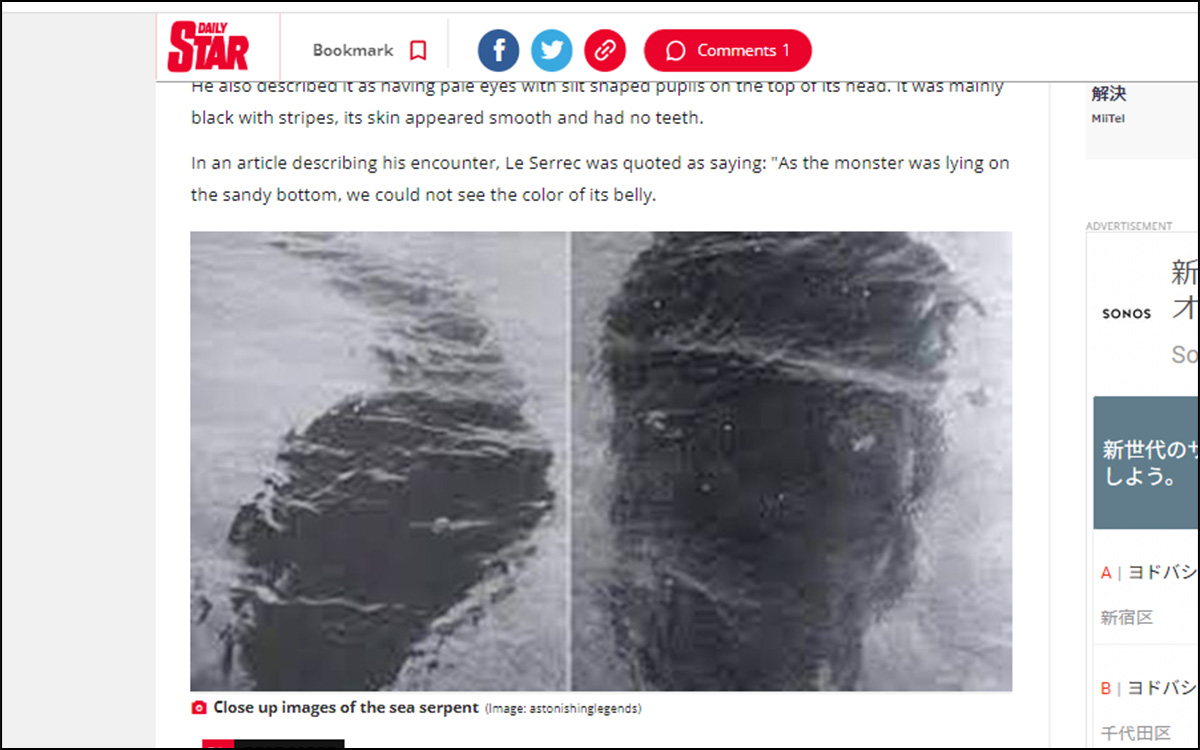 海に潜む「巨大オタマジャクシ型UMA」写真!? 最も信頼できる未確認生物との遭遇事例の画像2