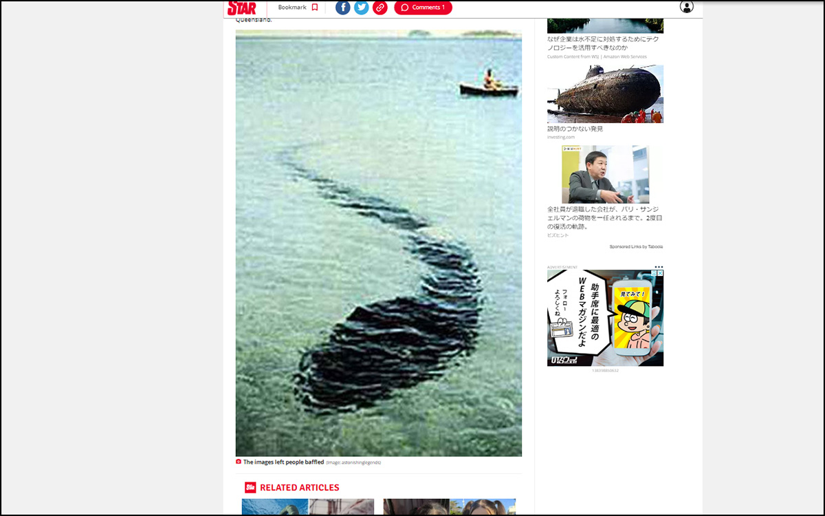 海に潜む「巨大オタマジャクシ型UMA」写真!? 最も信頼できる未確認生物との遭遇事例の画像1