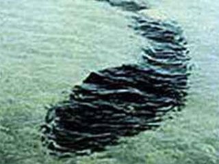海に潜む「巨大オタマジャクシ型UMA」写真!? 最も信頼できる未確認生物との遭遇事例