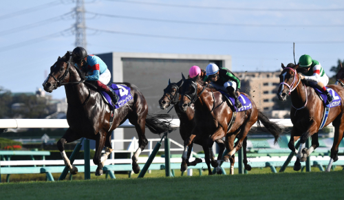「高い馬は走らない」競馬界最大のミステリー! JRAスプリンターズステークスも高額馬不在、お手頃価格馬の下剋上で万馬券必至!の画像2