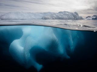 Google Earthに「巨大な怪物」が写り込む!? 南極海に潜む「ニンゲン」か？