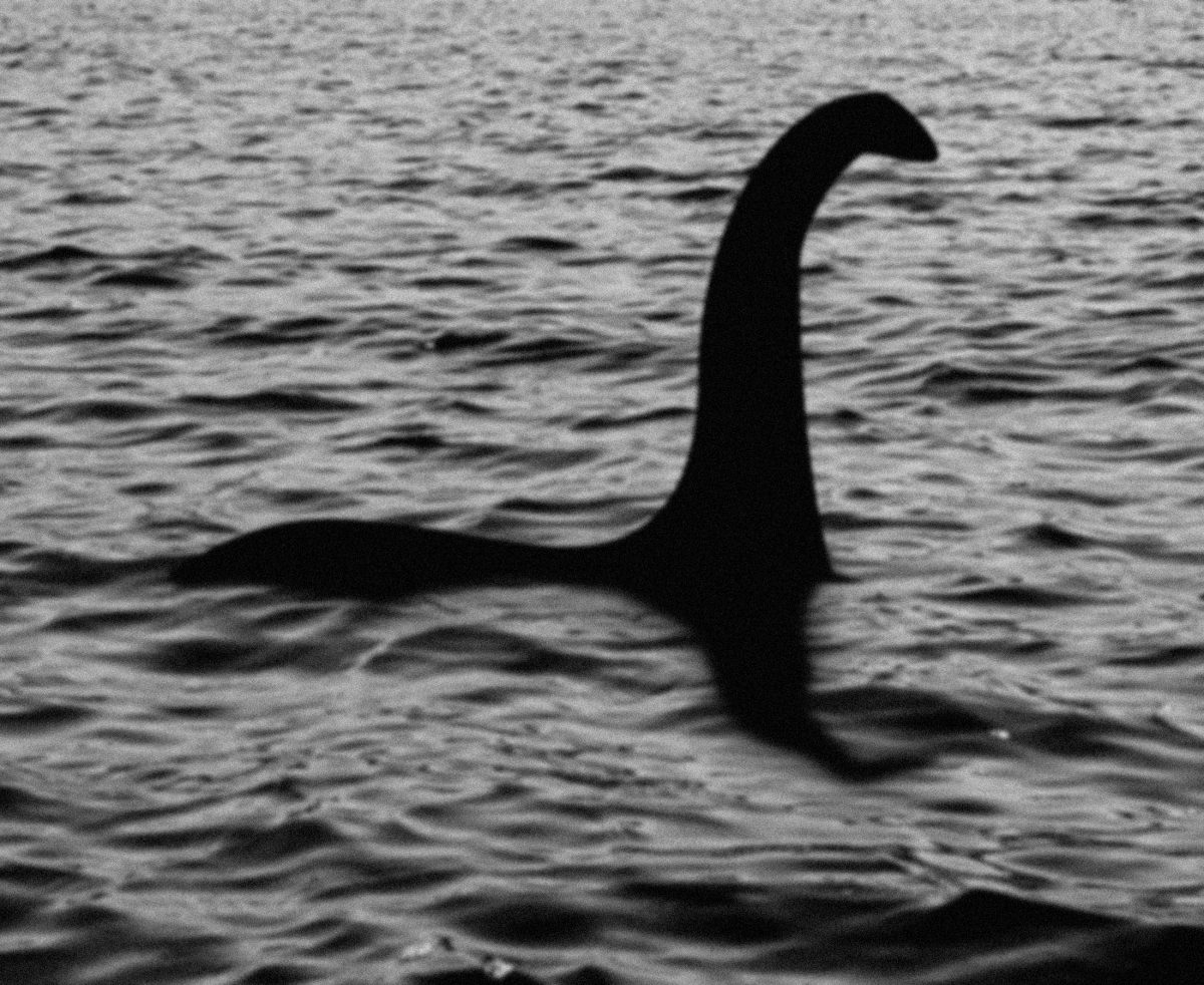 首をもたげたネッシーが湖から姿を現した!? ネス湖で撮影された最新画像がすごい！の画像1
