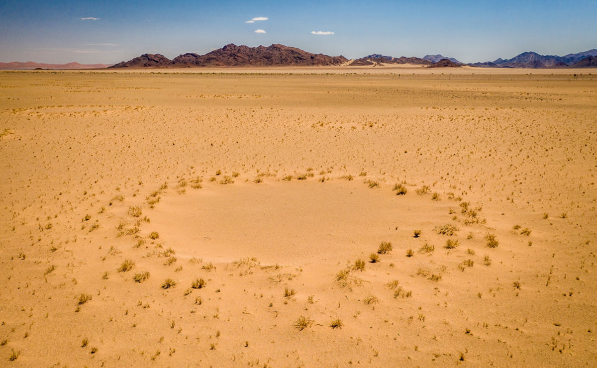 砂漠のミステリーサークルが解明へ!? 乾燥地帯に出来る「フェアリーサークル（妖精の輪）」とは？の画像1