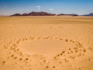 砂漠のミステリーサークルが解明へ!? 乾燥地帯に出来る「フェアリーサークル（妖精の輪）」とは？