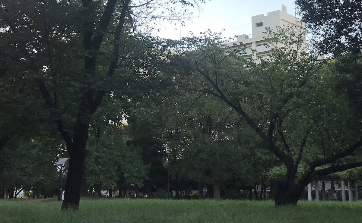 怪奇現象多発!? 731部隊の犠牲者が眠る新宿・戸山公園に行ってみた!の画像2