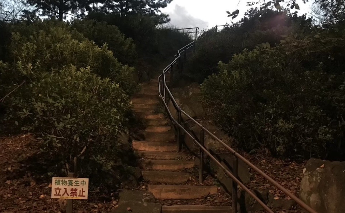 怪奇現象多発!? 731部隊の犠牲者が眠る新宿・戸山公園に行ってみた!の画像8