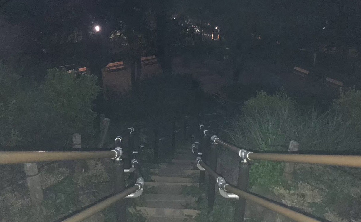 怪奇現象多発!? 731部隊の犠牲者が眠る新宿・戸山公園に行ってみた!の画像9
