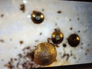 海底で発見された金属球はエイリアンによるものか？新たな分析結果がさらなる疑問を投げかける！