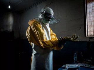 「コロナの12倍の死者を出すウイルス蔓延」科学者が警告　すでに傾向が……
