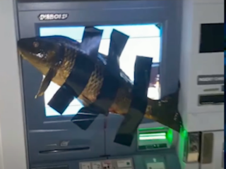 【意味不明】ATMに魚を貼り付けたとして10代男性を逮捕＝アメリカ