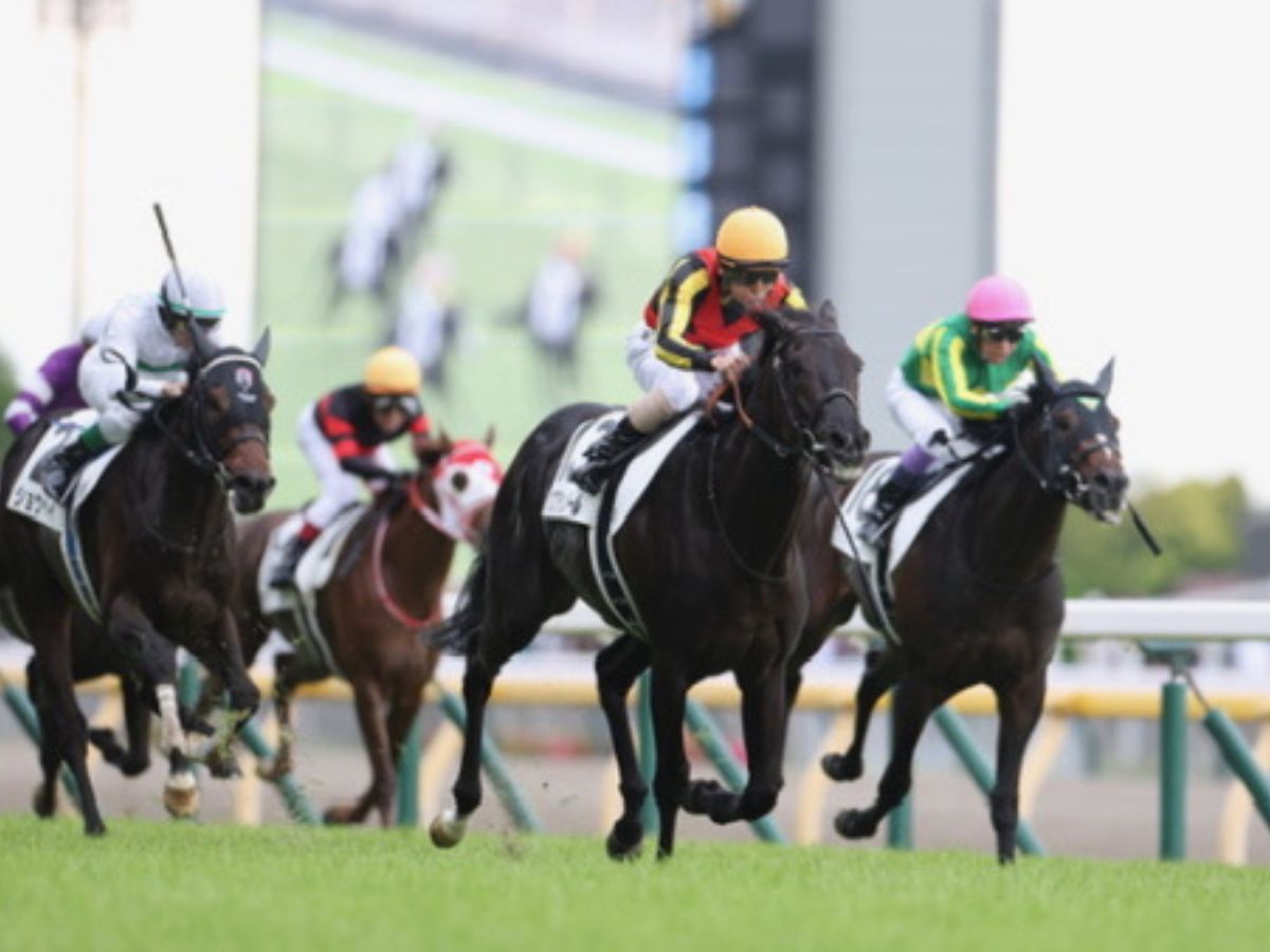 日本ダービー“とっておきの穴馬”はコレだ！ここは高額馬券で一攫千金を